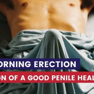 morning erection